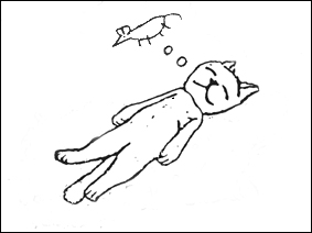 sleeping-cat-draw